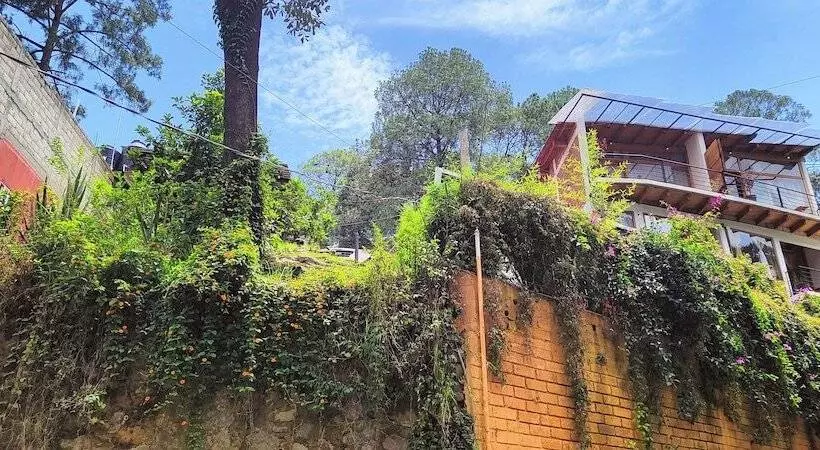 Encino House Hotel Boutique