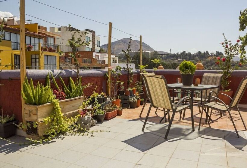 هتل La Buena Vida