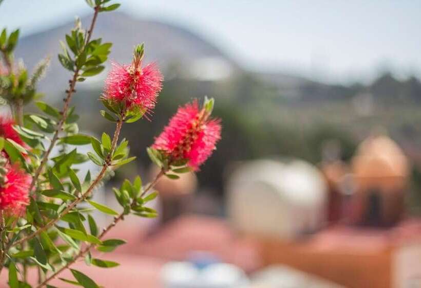 هتل La Buena Vida