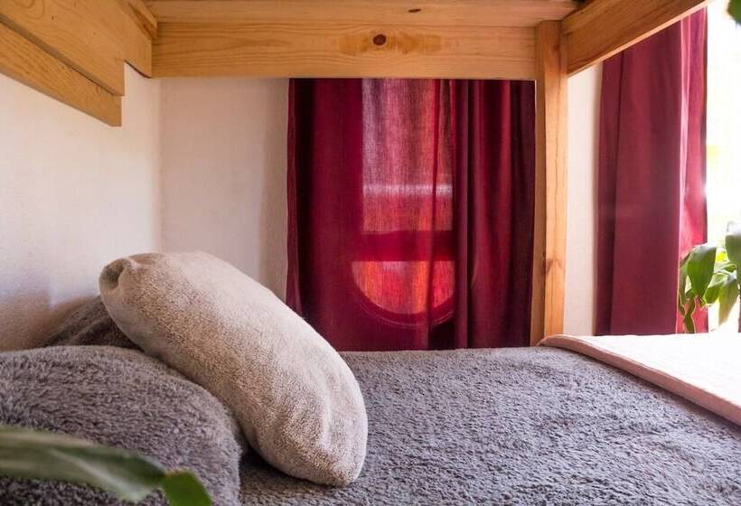 هتل La Buena Vida