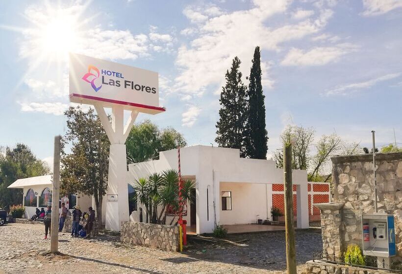 فندق Las Flores