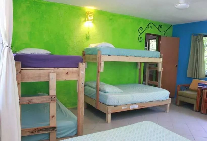 Hotelli Mangrove Inn Akumal