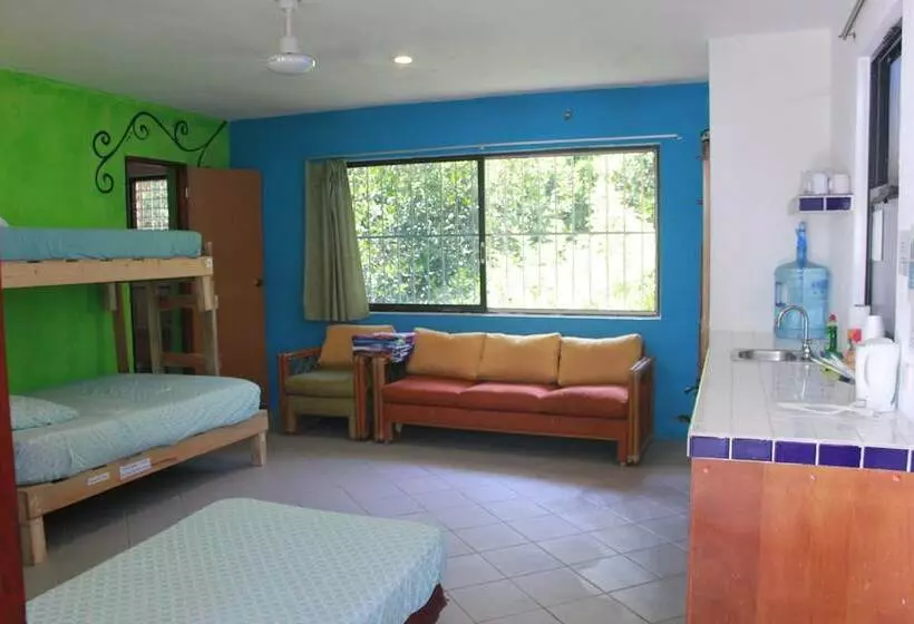 Hotelli Mangrove Inn Akumal