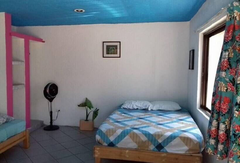 فندق Mangrove Inn Akumal