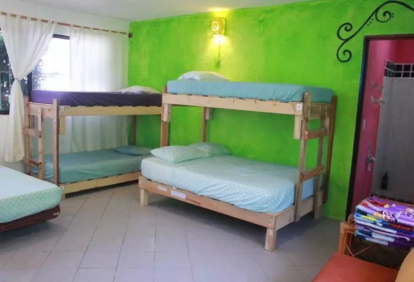 Hotelli Mangrove Inn Akumal