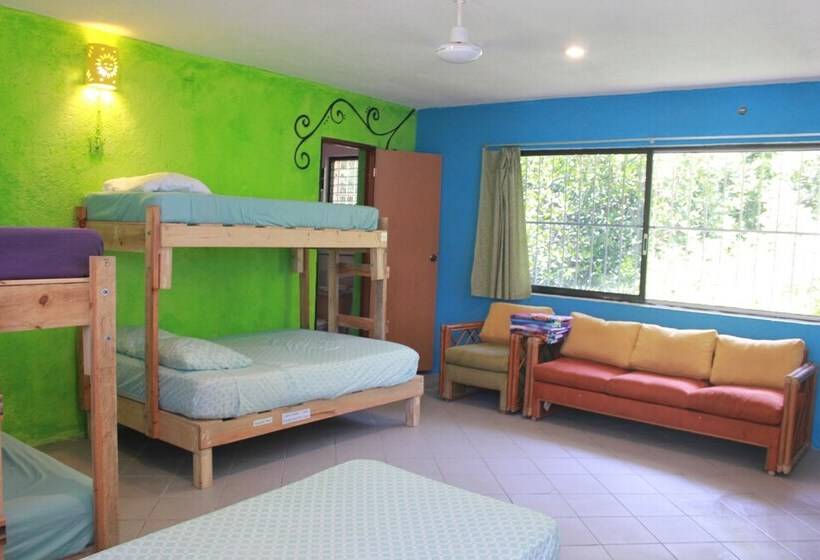 فندق Mangrove Inn Akumal