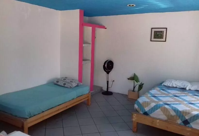 Hotelli Mangrove Inn Akumal