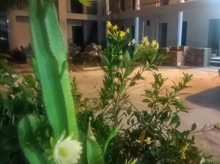 ホテル Yaash Valladolid