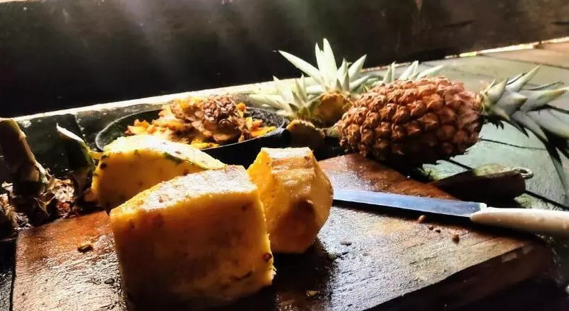 هاستل Casa Azul Reserva Amazonica