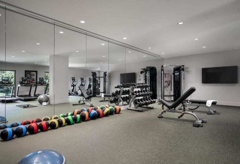 فندق Grand Bohemian Lodge Greenville, Autograph Collection