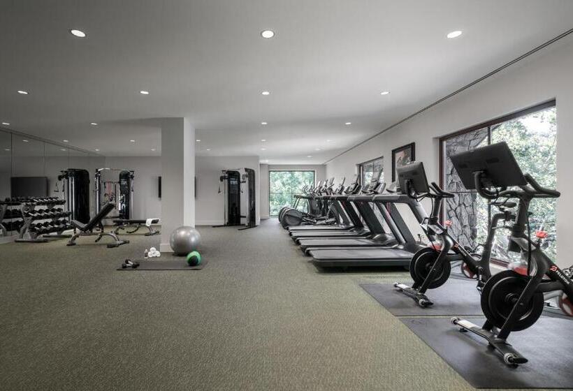 فندق Grand Bohemian Lodge Greenville, Autograph Collection