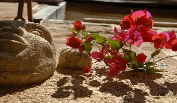 Apartamentos Rurales Los Vergeles