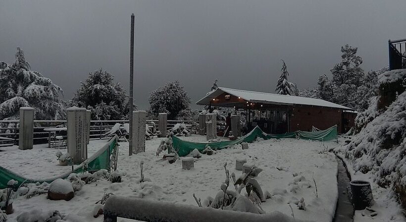 تختخواب و صبحانه The Unmad