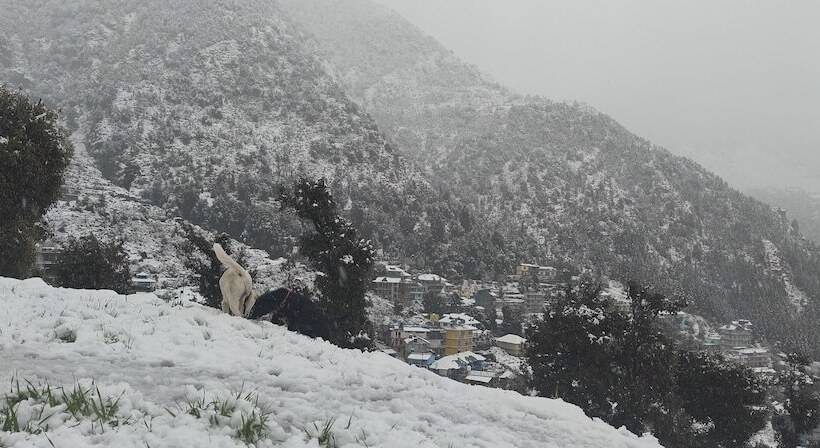 تختخواب و صبحانه The Unmad