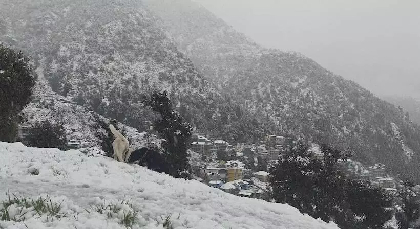 Aamiaismajoitus (B&B) The Unmad