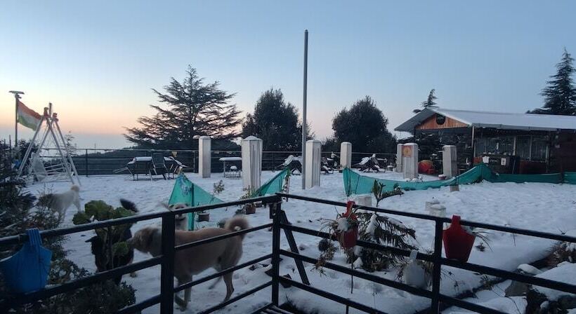 تختخواب و صبحانه The Unmad