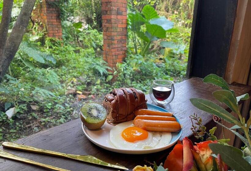 تختخواب و صبحانه Twilight Forest