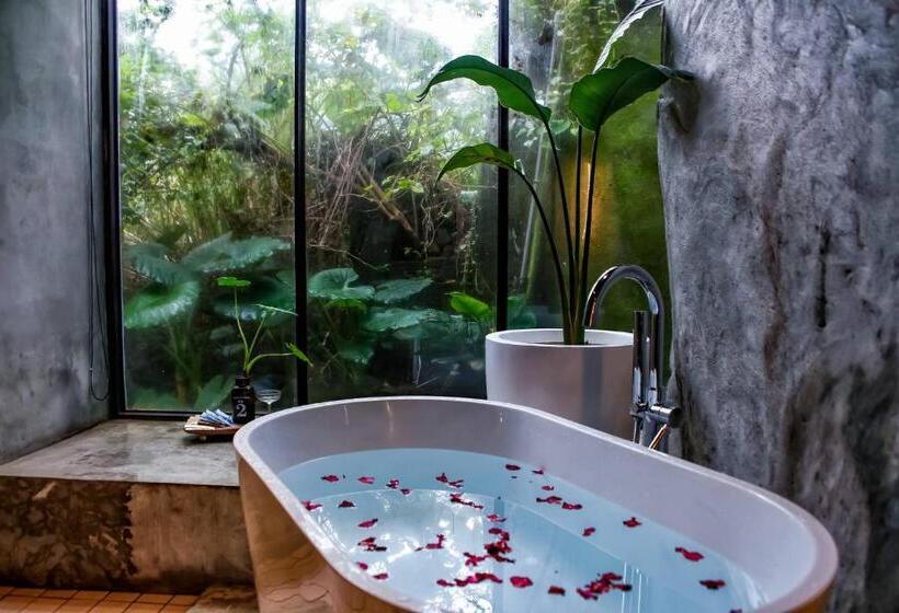 تختخواب و صبحانه Twilight Forest