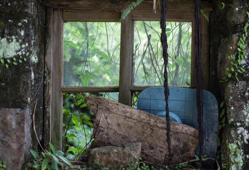 تختخواب و صبحانه Twilight Forest