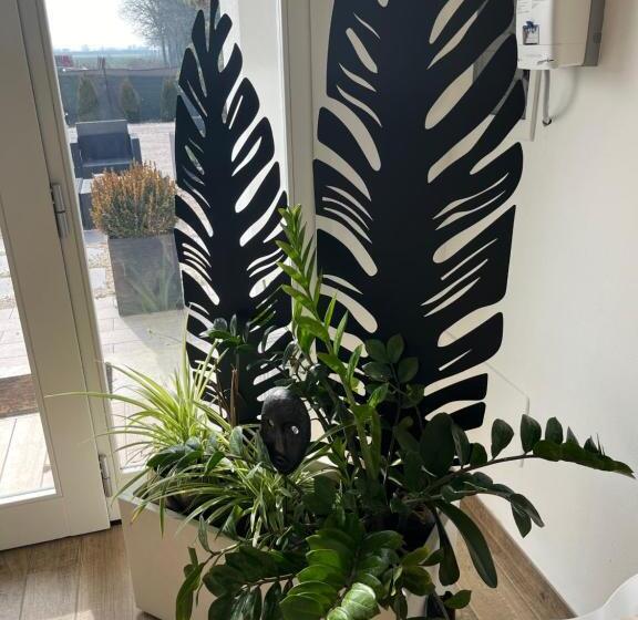 פנסיון Ivy Park