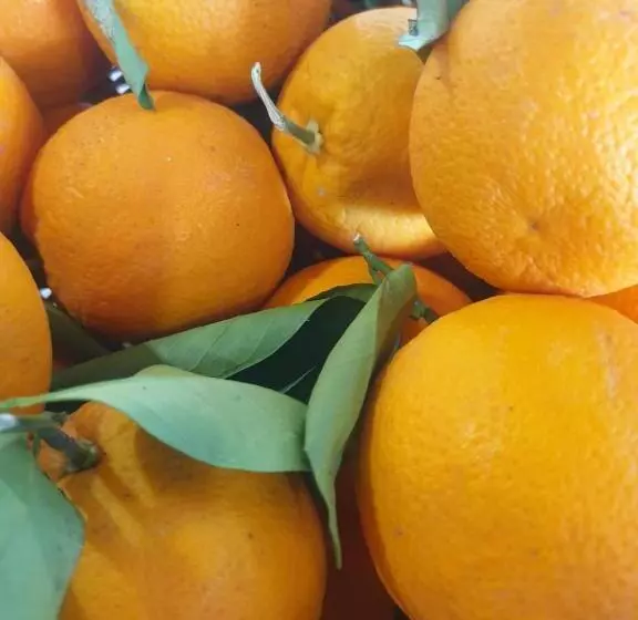 ホテル Riviera Seaside