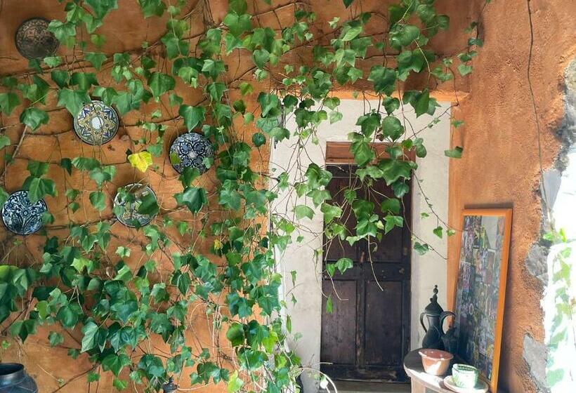 펜션 Oustal Du Pic Saint Loup