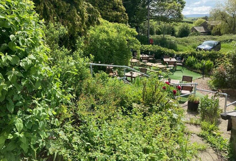 فندق صغير The Stork