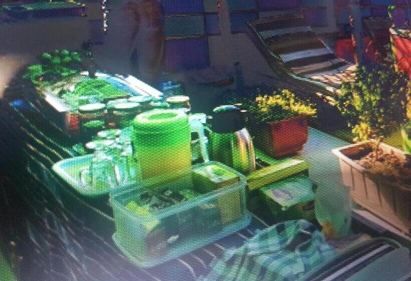 Bob Marley Hotel Luxor & Restaurant