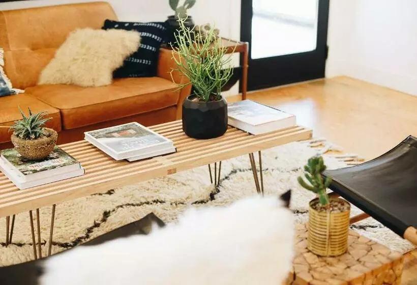 ホテル Amigo Motor Lodge