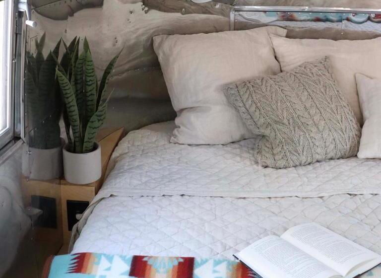 فندق Amigo Motor Lodge