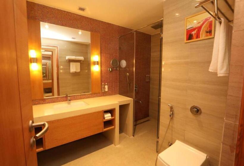 Отель Regenta Central Udaipur