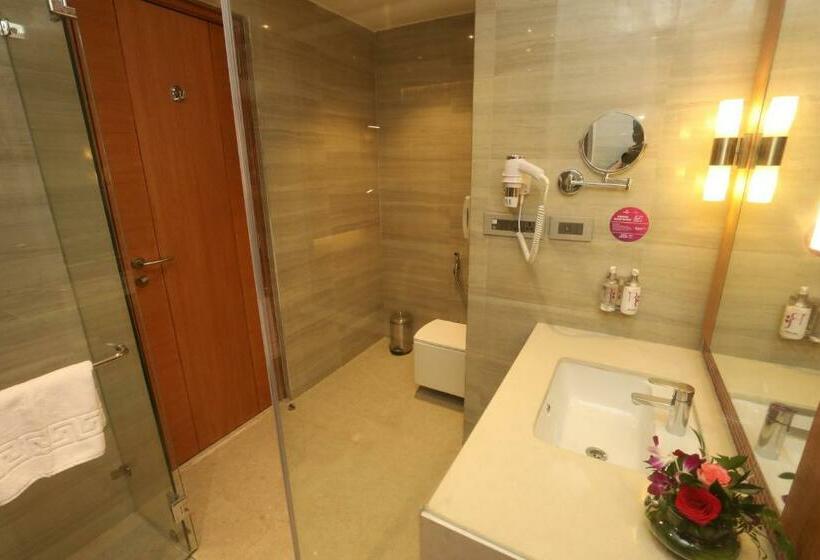 Отель Regenta Central Udaipur