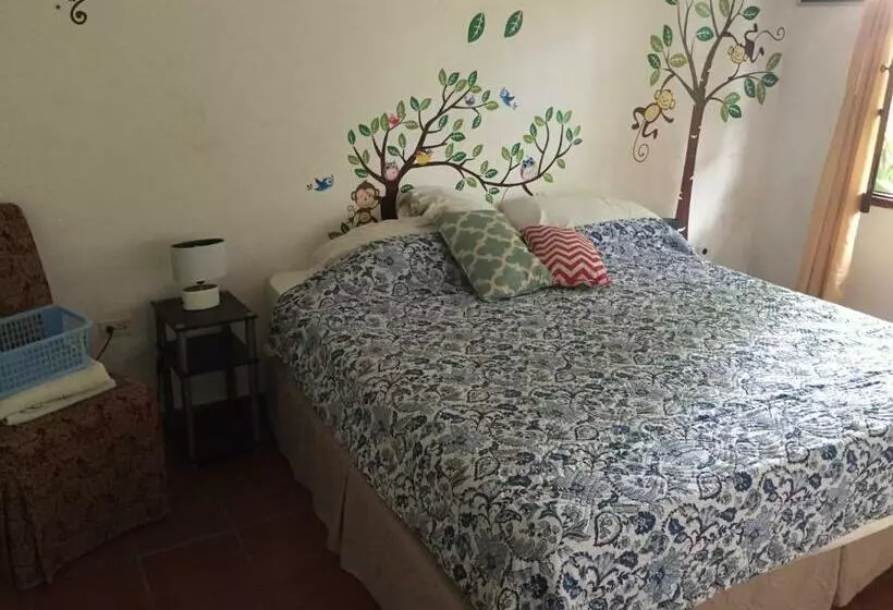 ユースホステル La Jungla Experience Lodgings   Vacation Home And Apartment
