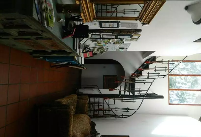 ユースホステル La Jungla Experience Lodgings   Vacation Home And Apartment