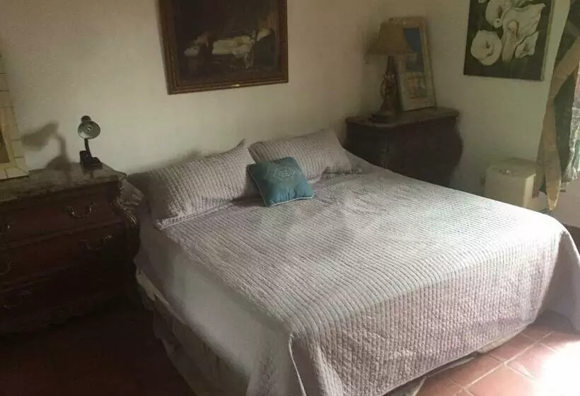 ユースホステル La Jungla Experience Lodgings   Vacation Home And Apartment