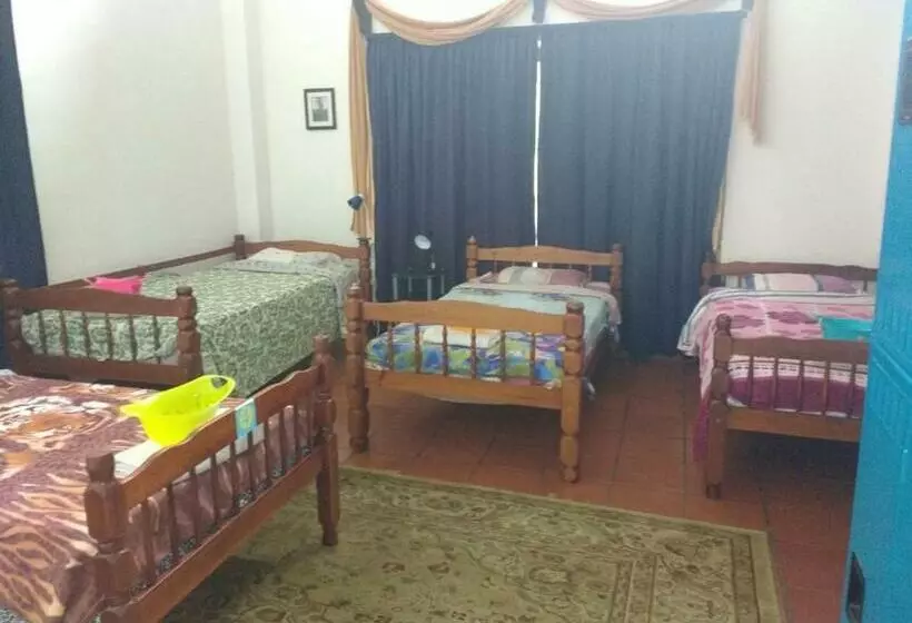 ユースホステル La Jungla Experience Lodgings   Vacation Home And Apartment