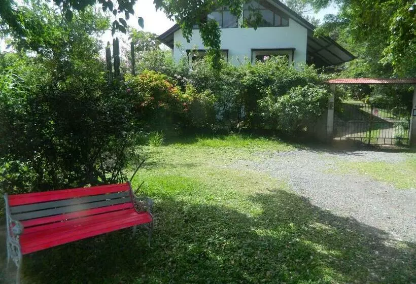 ユースホステル La Jungla Experience Lodgings   Vacation Home And Apartment
