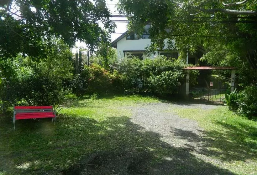 ユースホステル La Jungla Experience Lodgings   Vacation Home And Apartment