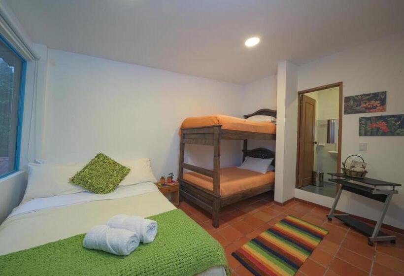 הוסטל Posada Ecoturística Rogitama