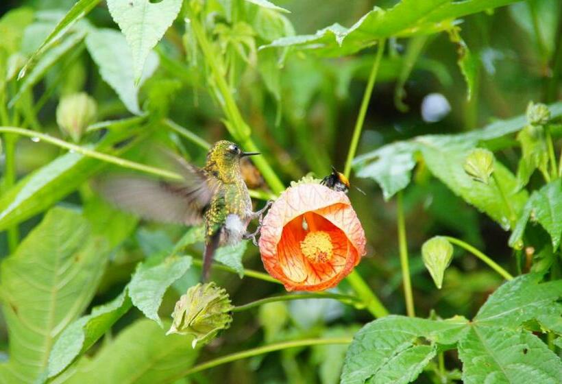 הוסטל Posada Ecoturística Rogitama