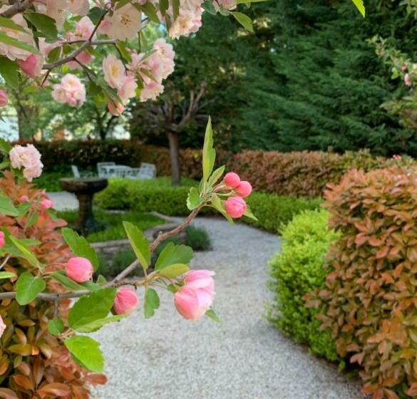 Bed and Breakfast Howlong Old Post Office Luxury Suite