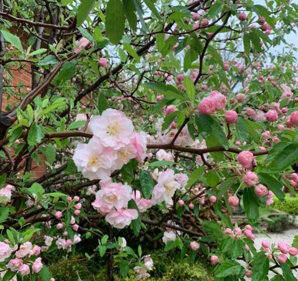 Bed and Breakfast Howlong Old Post Office Luxury Suite