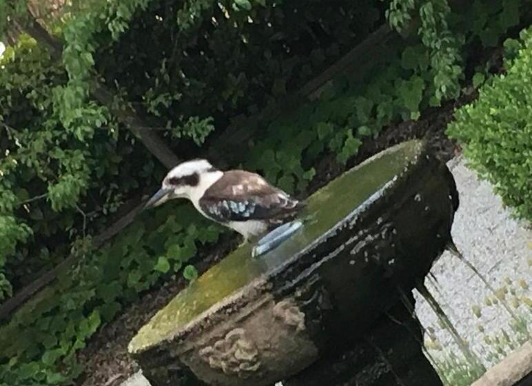 Bed and Breakfast Howlong Old Post Office Luxury Suite