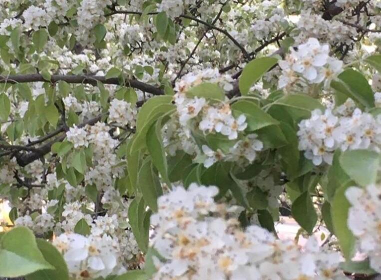 Bed and Breakfast Howlong Old Post Office Luxury Suite