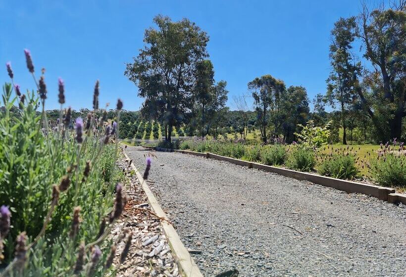 فندق Canyonleigh Retreat