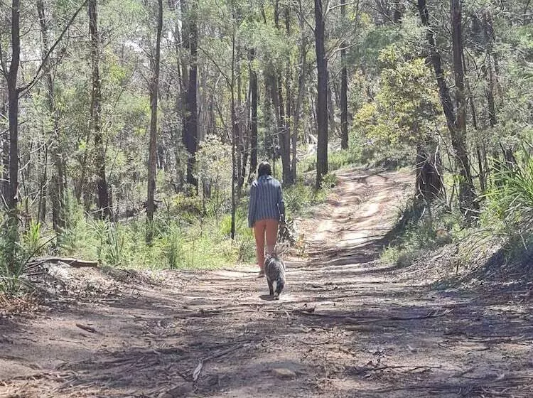 Hotel Canyonleigh Retreat