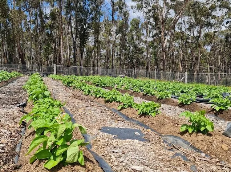 Hotel Canyonleigh Retreat