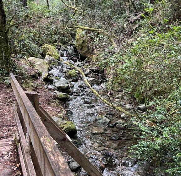 Mermaid S Muse Bed And Breakfast