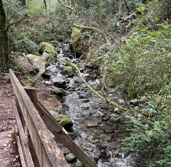 Mermaid S Muse Bed And Breakfast