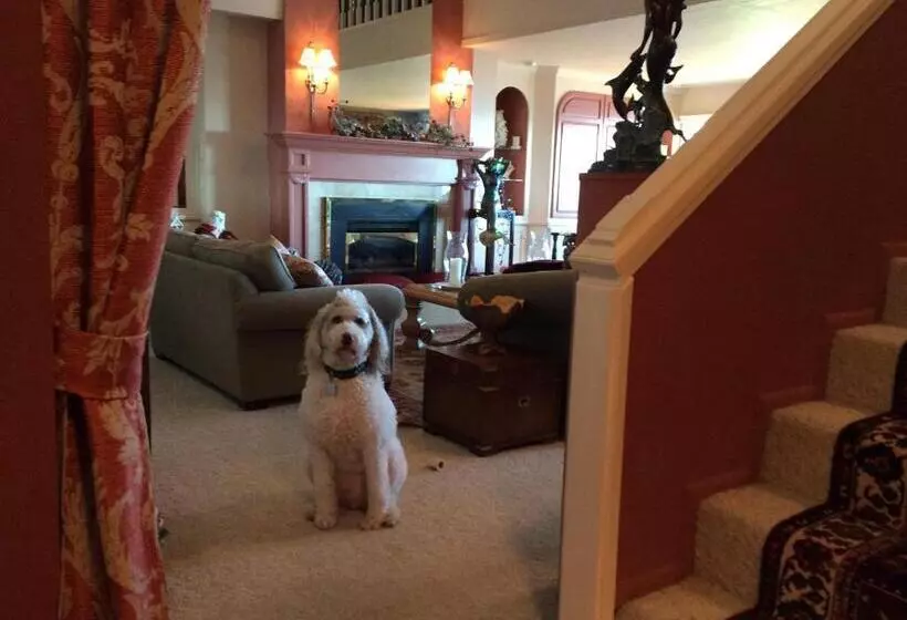 Mermaid S Muse Bed And Breakfast